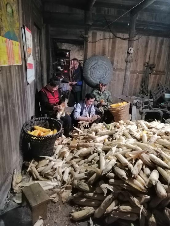 记中国太保湖北茅湖淌村驻村第一书记陈开红