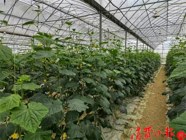 微信图片_20211009100408.jpg