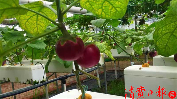微信图片_20211009100444.jpg