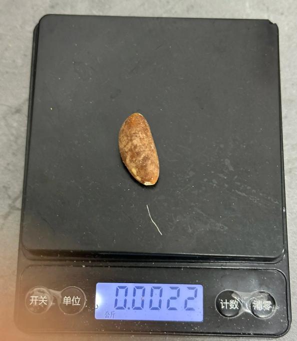 1757490285119554.jpg 图片2.jpg