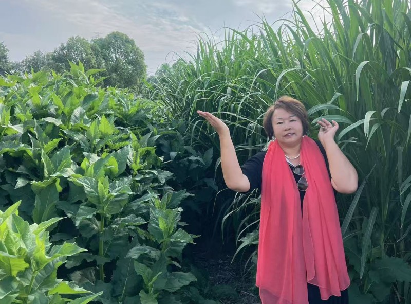 1770625751443315.jpg 3.jpg