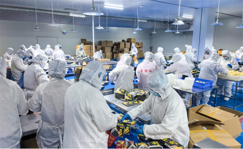 1772276286782477.jpg 图片2.jpg