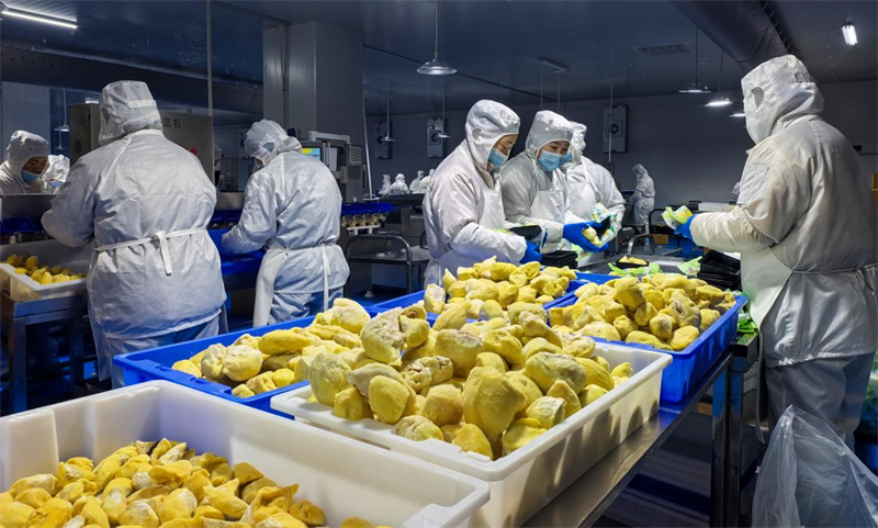 1772276291317775.jpg 图片3.jpg