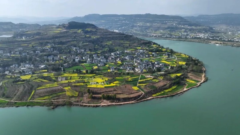 1774851507615692.jpg 图片1.jpg