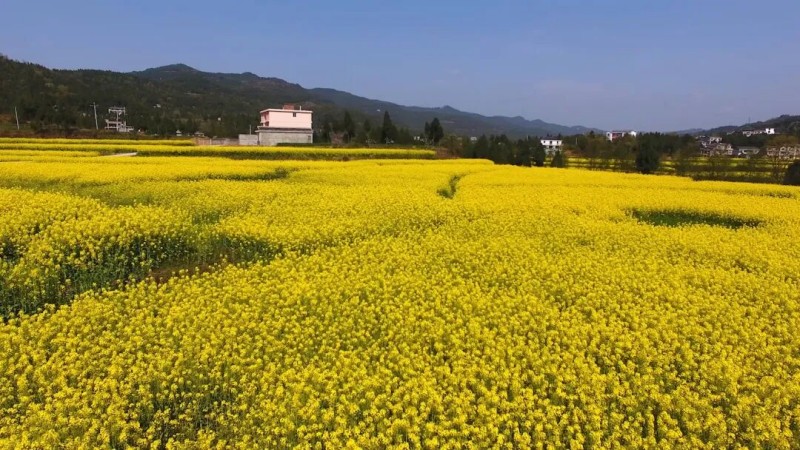 1774851514164774.jpg 图片2.jpg