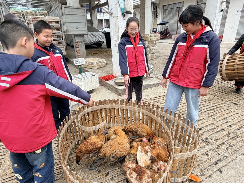 1774941663782713.jpg 3.jpg