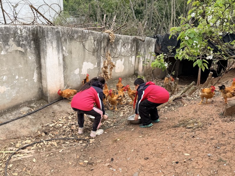 1774941667789466.jpg 4.jpg