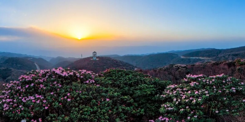 1775803291624553.jpg 图片1.jpg