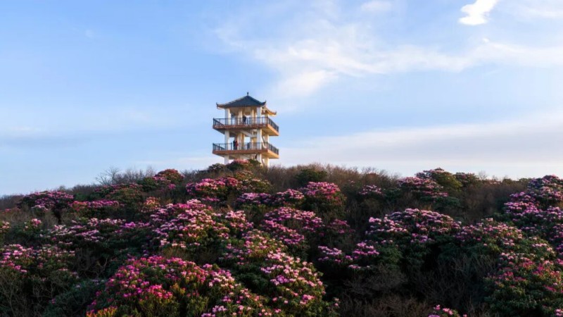 1775803295216466.jpg 图片2.jpg