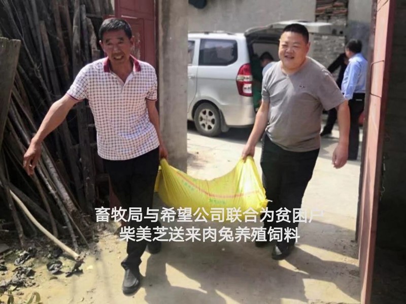 图片6.jpg