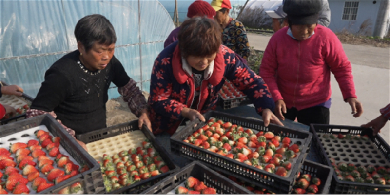 泰州姜堰：“同心共富”赋能 村民搭上“幸福专列”242.jpg