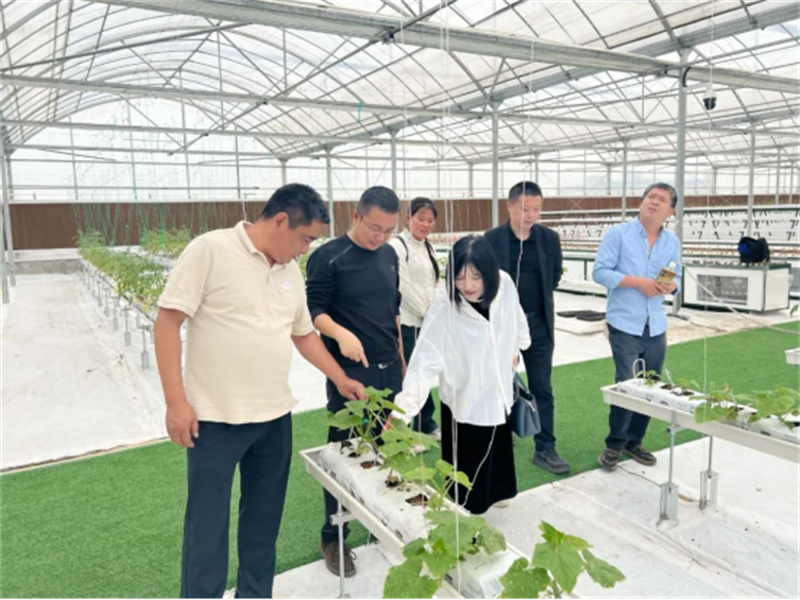 江阴市葡萄产业链联合党委赴多地“取经” 助推葡萄产业高质量发展585.jpg