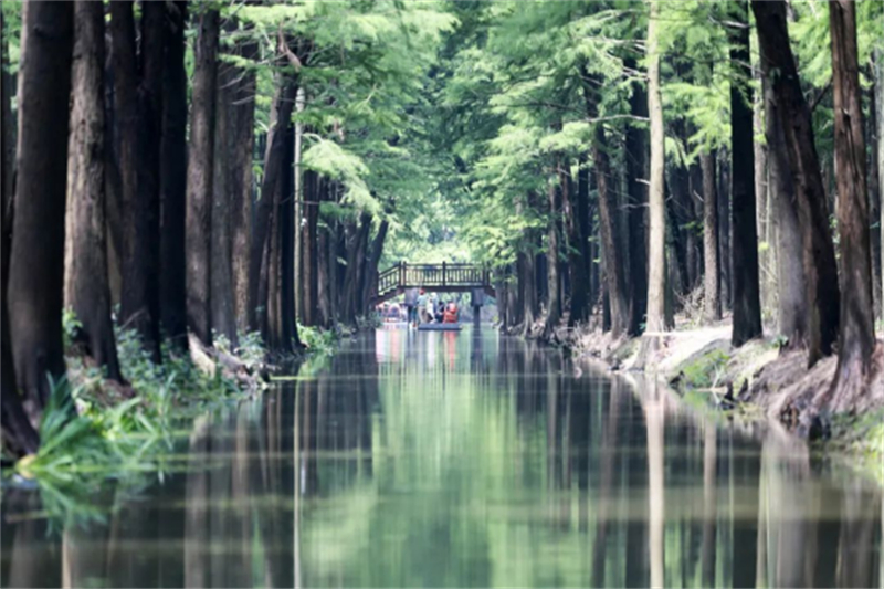 辉映幸福水城：泰州网络主题活动继续聚焦“江河湖海”644.jpg