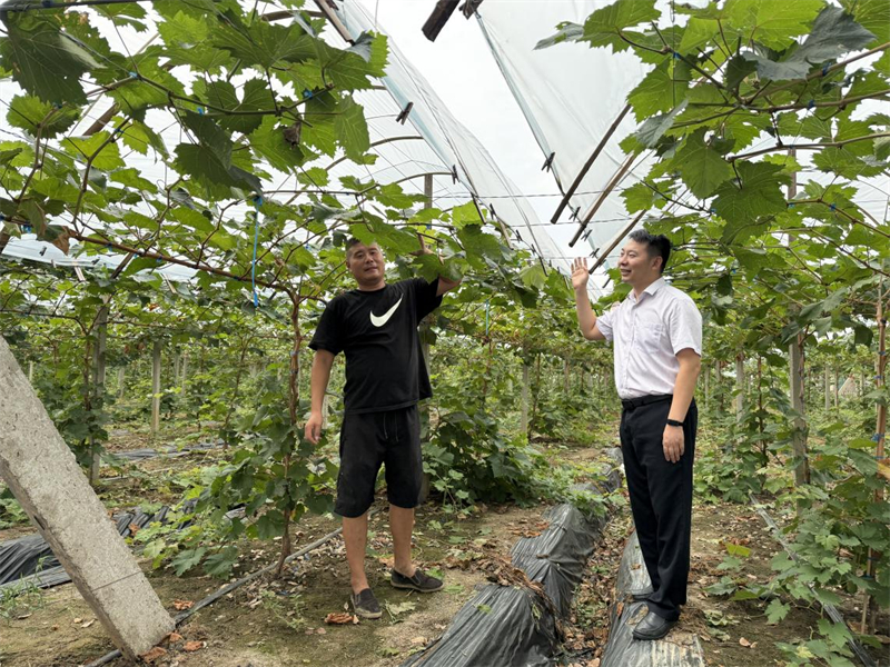 江南农村商业银行牛塘支行助力乡村创业者致富路.jpg