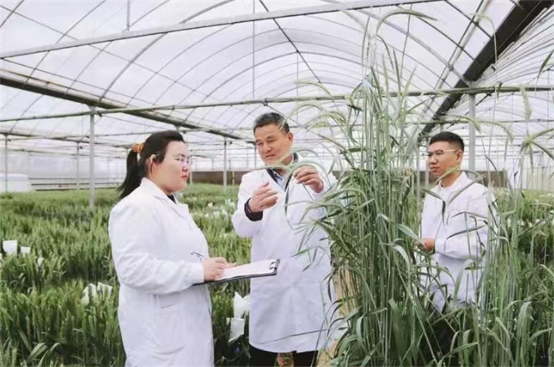 图片6.jpg