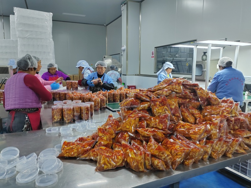 1772088906881554.jpg 图片4.jpg