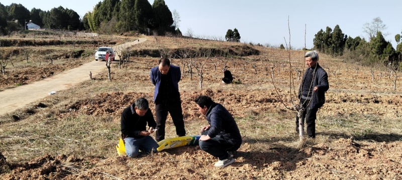 1772089009625382.jpg 图片1.jpg