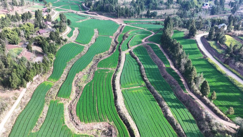 1772181907900884.jpg 1.jpg