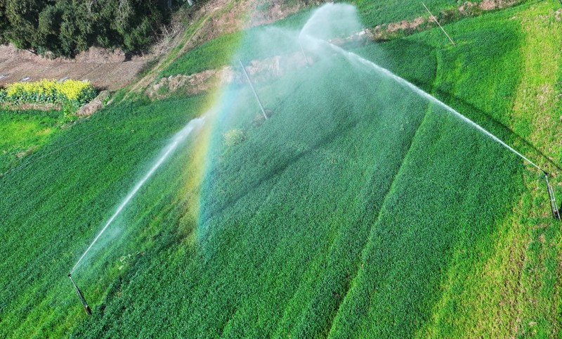 1772181910880586.jpg 2.jpg