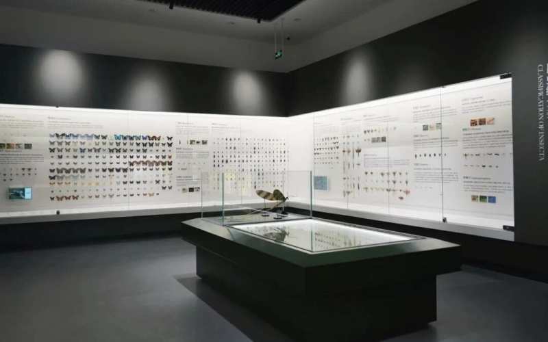 1774061922808558.jpg 图片7.jpg