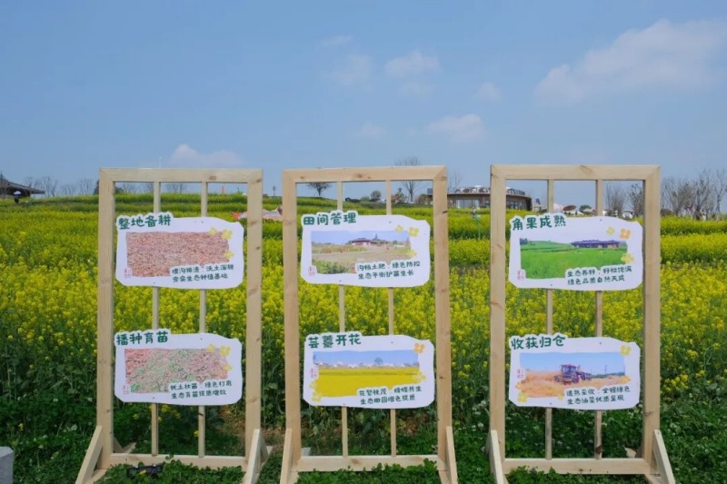 1774837735663921.jpg 1.jpg