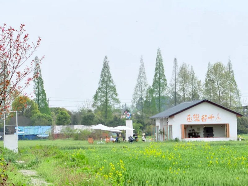 1774837822136337.jpg 2.jpg