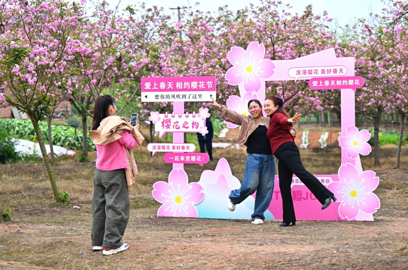 1774838016170110.jpg 3.jpg