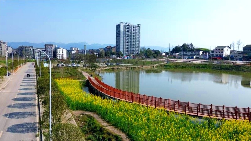 1775700138435358.jpg 图片1.jpg