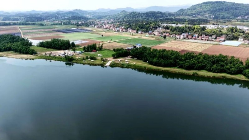 1775700314512268.jpg 1.jpg