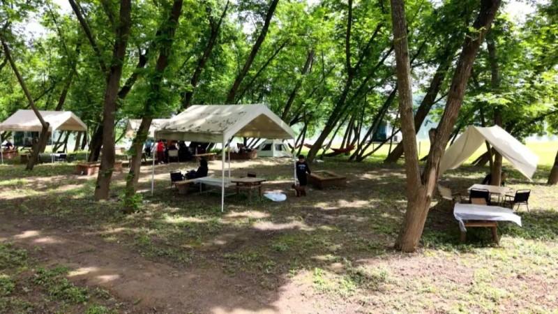 1775700316482631.jpg 2.jpg