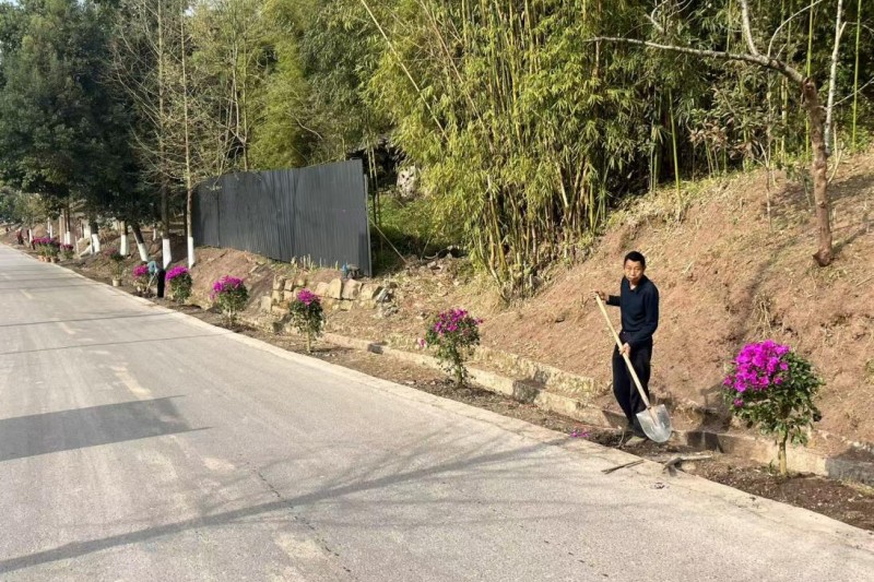 团坝镇院落整治 (2).jpg