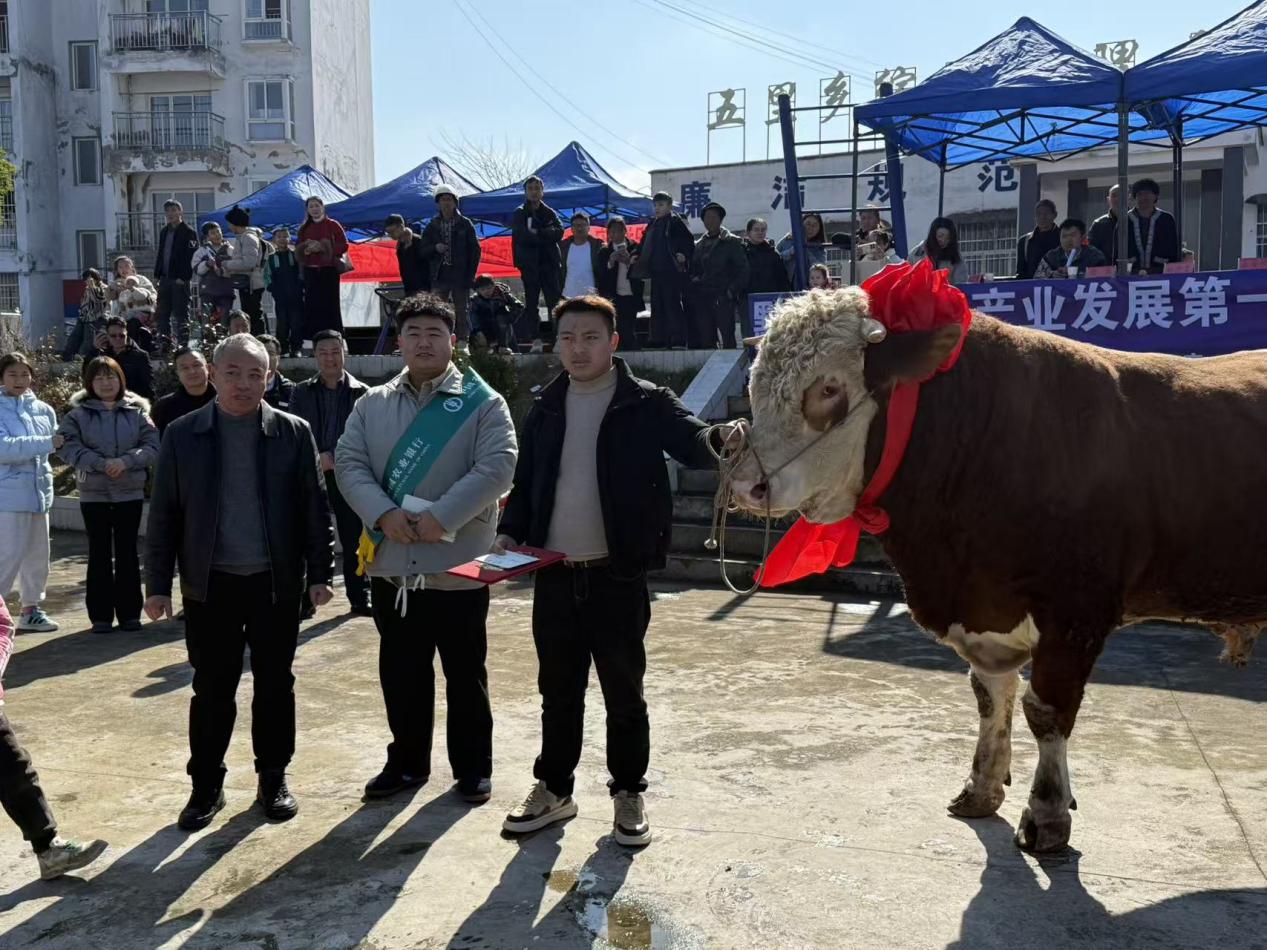 1769671689747106.jpg 3.jpg