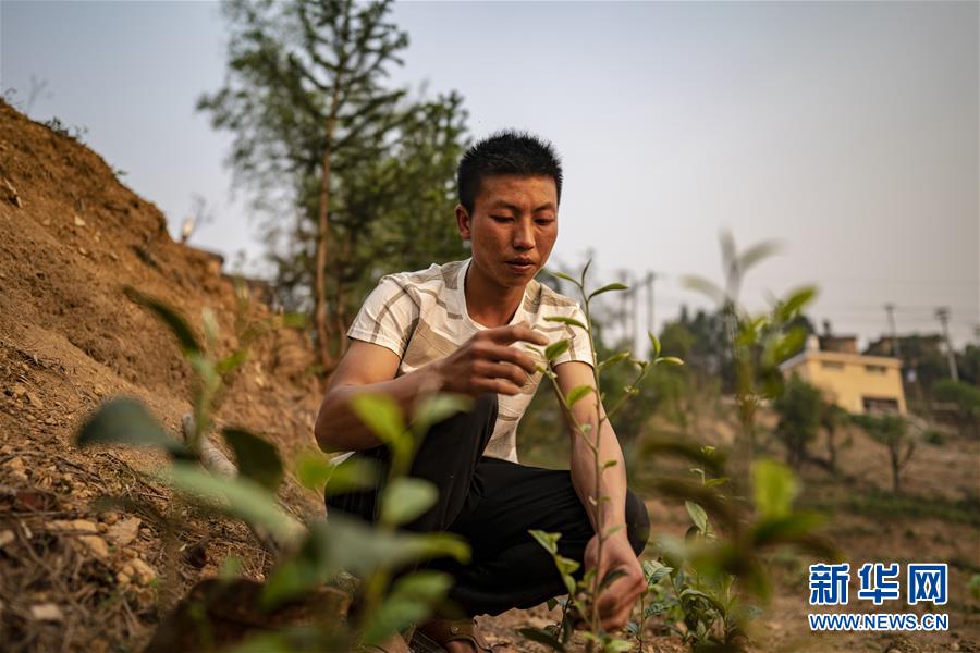 （脱贫攻坚·扶贫印记）（5）大头村脱贫了