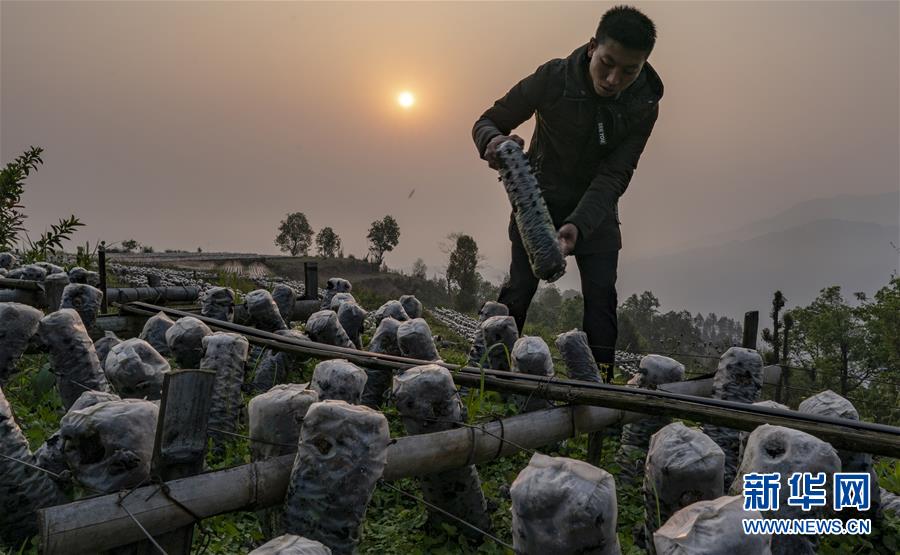 （脱贫攻坚·扶贫印记）（6）大头村脱贫了
