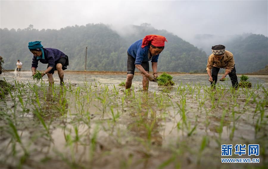 （脱贫攻坚·扶贫印记）（8）大头村脱贫了