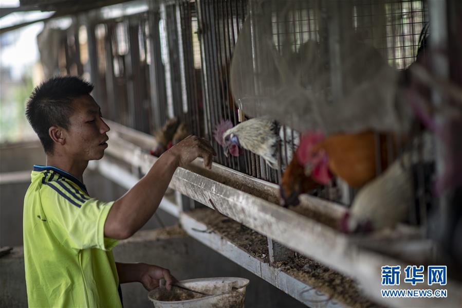 （脱贫攻坚·扶贫印记）（9）大头村脱贫了