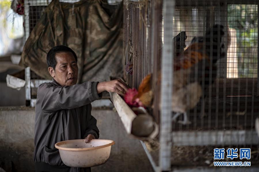 （脱贫攻坚·扶贫印记）（12）大头村脱贫了
