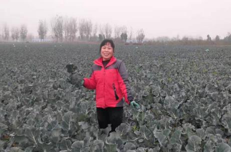 微信截图_20201203145355.jpg