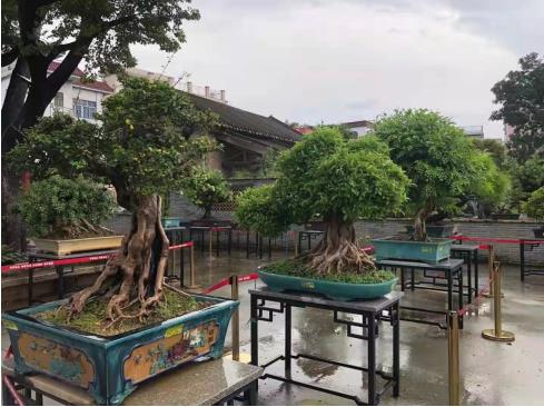 微信截图_20210928104046.jpg