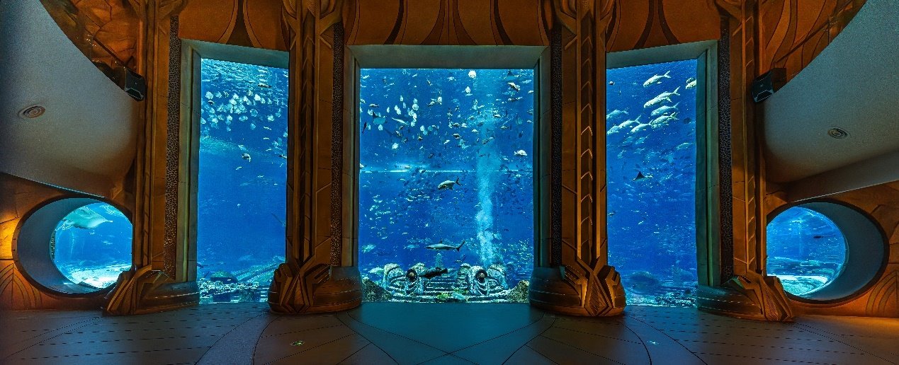 1727262702407673.jpg 图片5(1)_极速看图.jpg