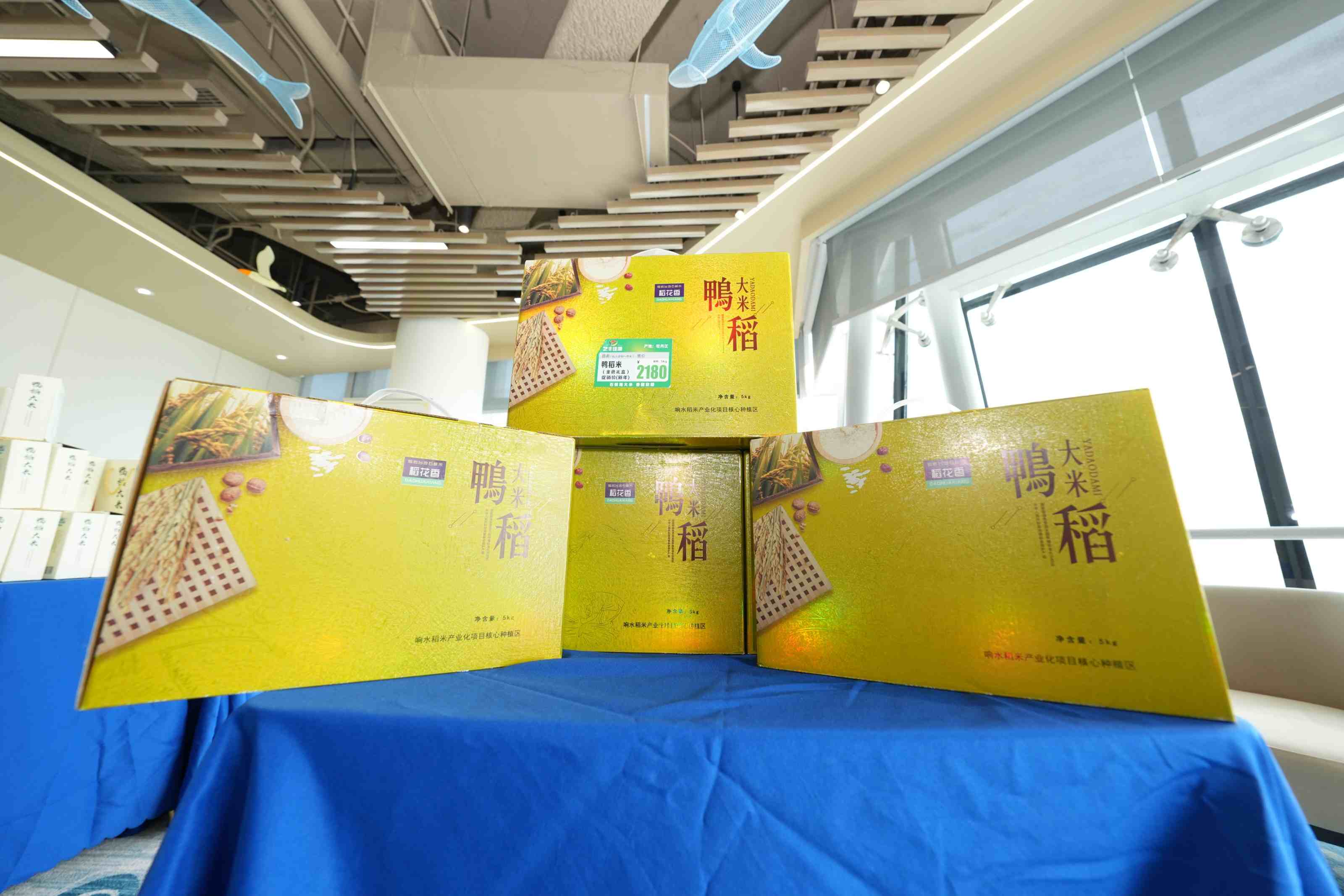 1766915065435731.jpg 4LPpmo4x.jpg