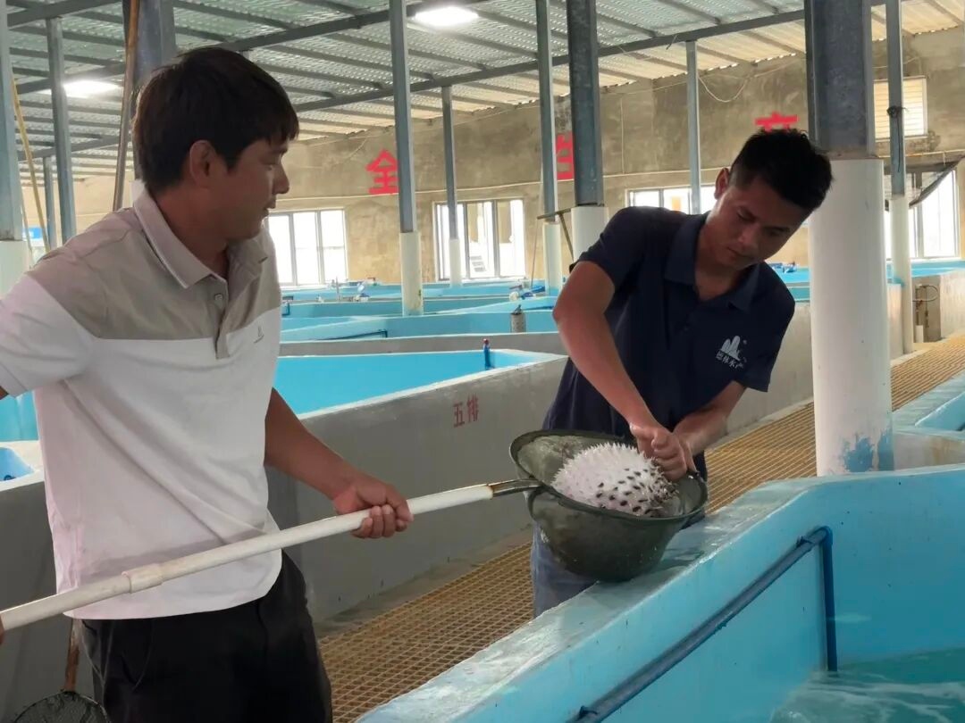 1774572136526235.jpg WPS图片(2).jpg