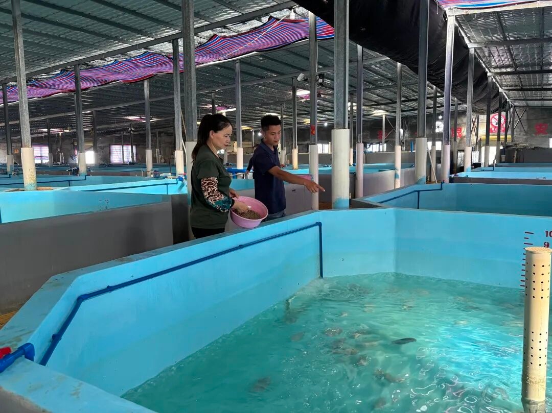 1774572141969070.jpg WPS图片(3).jpg