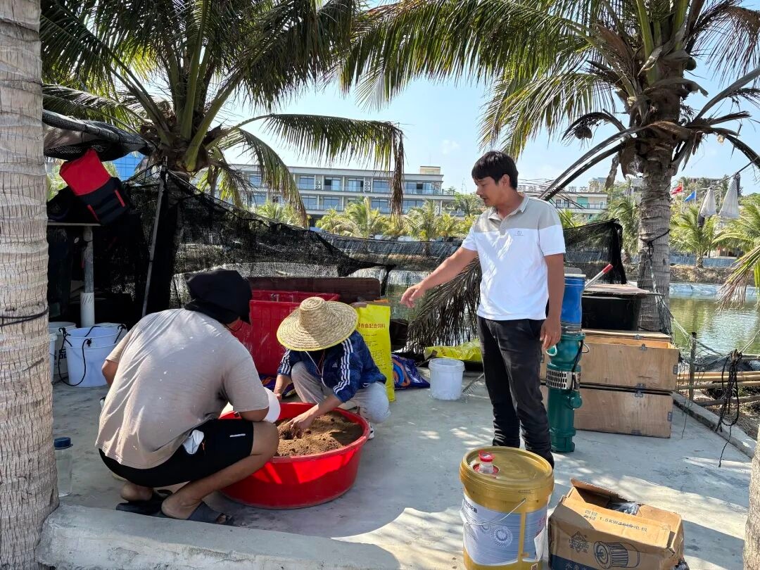 1774572146596974.jpg WPS图片(4).jpg