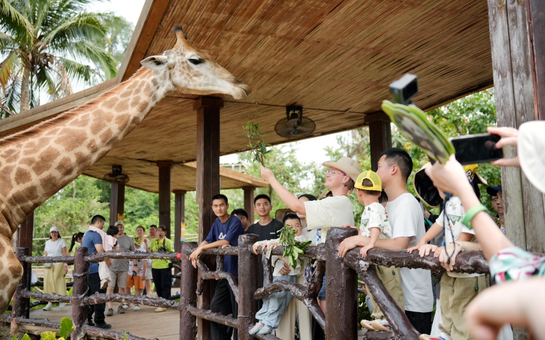 1775801871305015.jpg WPS图片(8).jpg