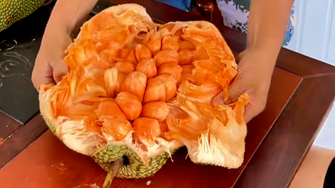 1776125843766110.jpg WPS图片(1).jpg