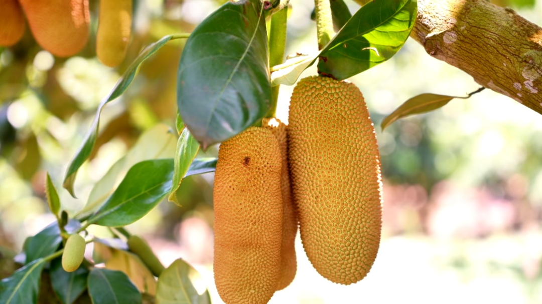 1776125848270962.jpg WPS图片(2).jpg