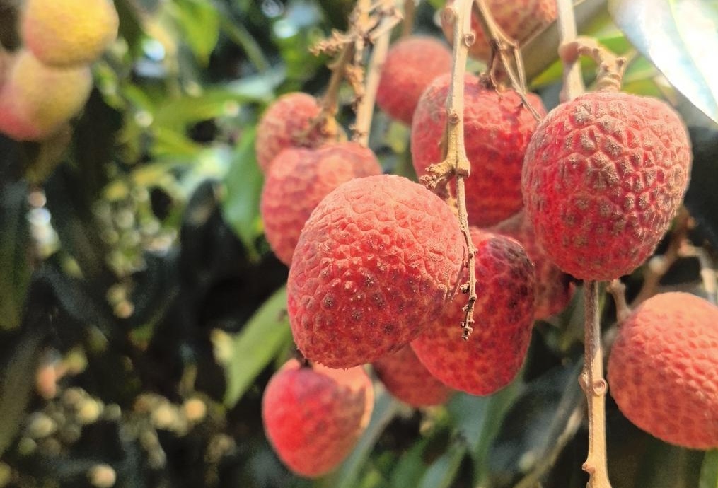 1776213477192898.jpg WPS图片(1).jpg