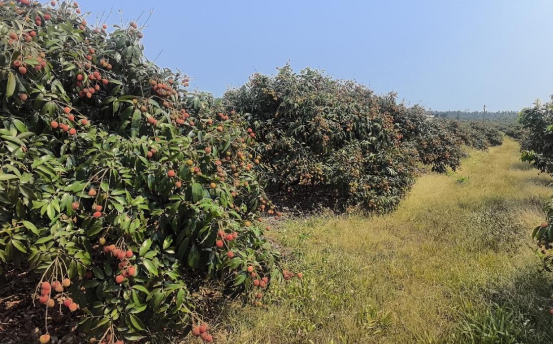 1776213482778833.jpg WPS图片(2).jpg