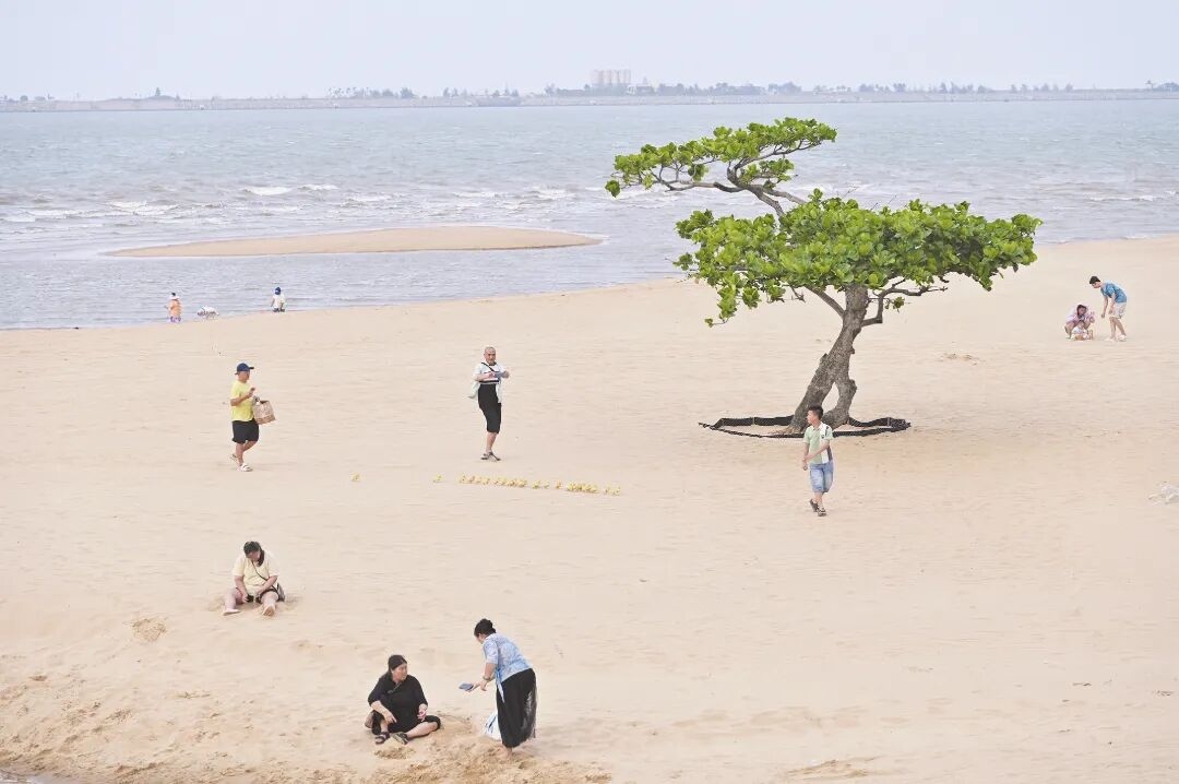 WPS图片(2).jpg